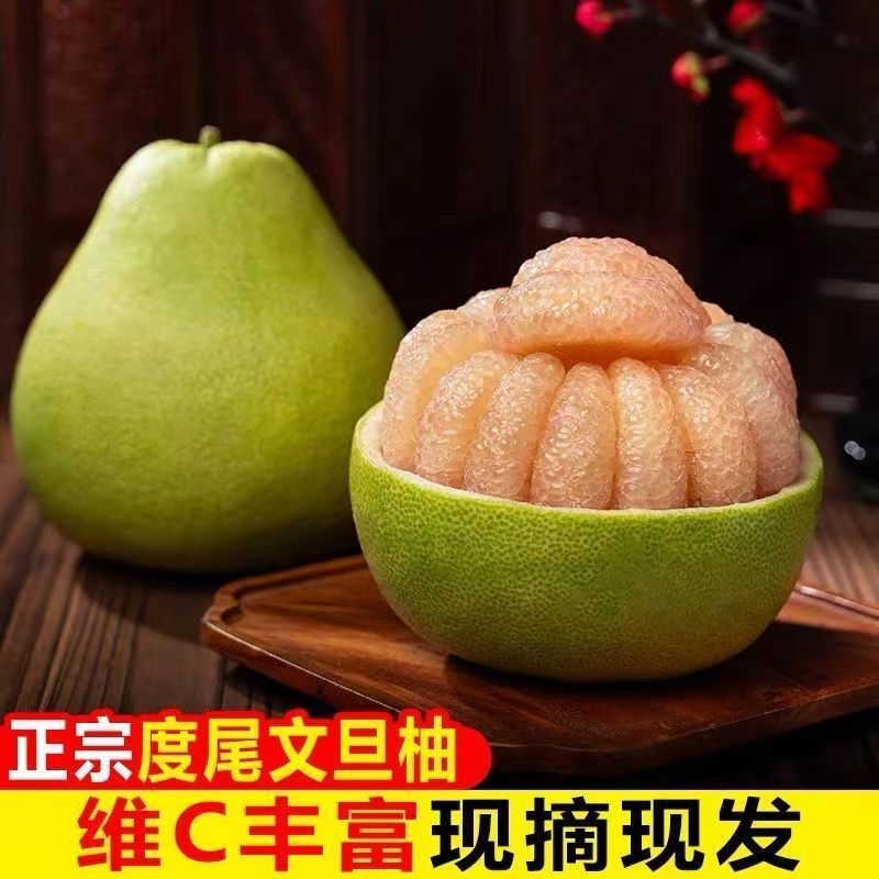 现买现发度尾文旦柚当季柚子当季水果包邮爆汁好吃现摘葡萄黄金