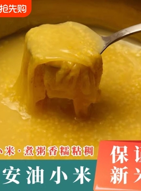 黄小米5斤新米农家粥米油五谷杂粮粥煮粥粮食现发食用真空优质