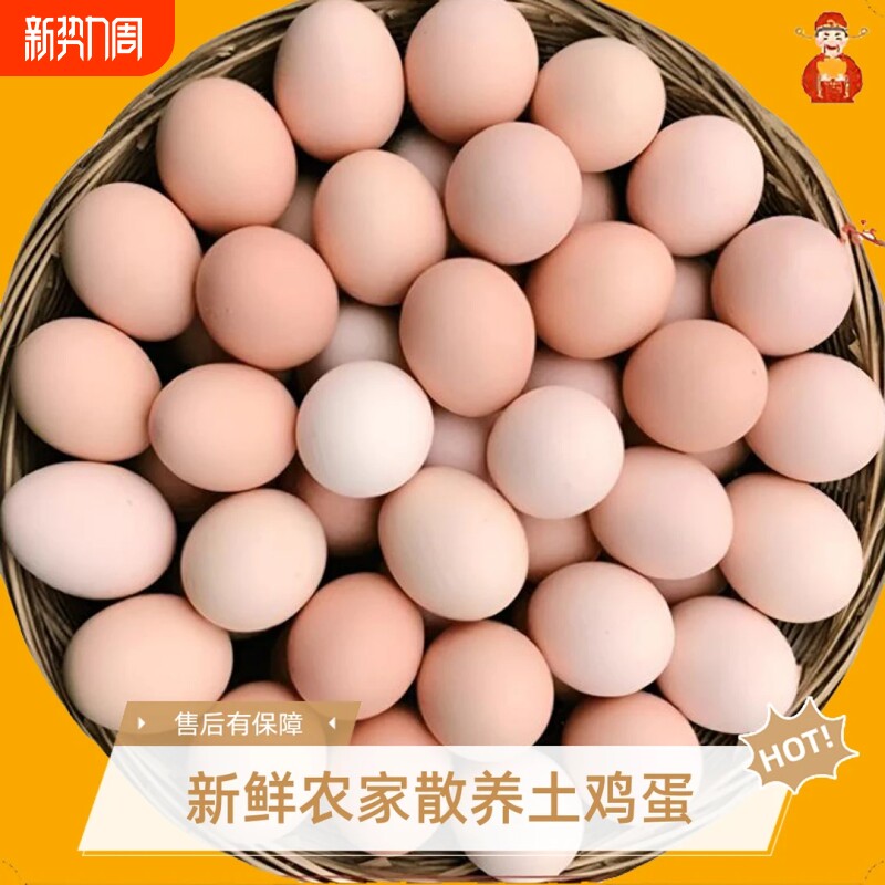 正宗农家土鸡蛋散养草鸡蛋笨鸡蛋新鲜谷物鸡蛋整箱50枚普通