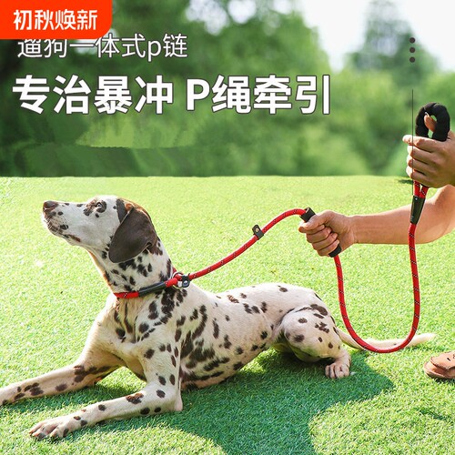 狗狗牵引绳小中大型犬防爆冲P链