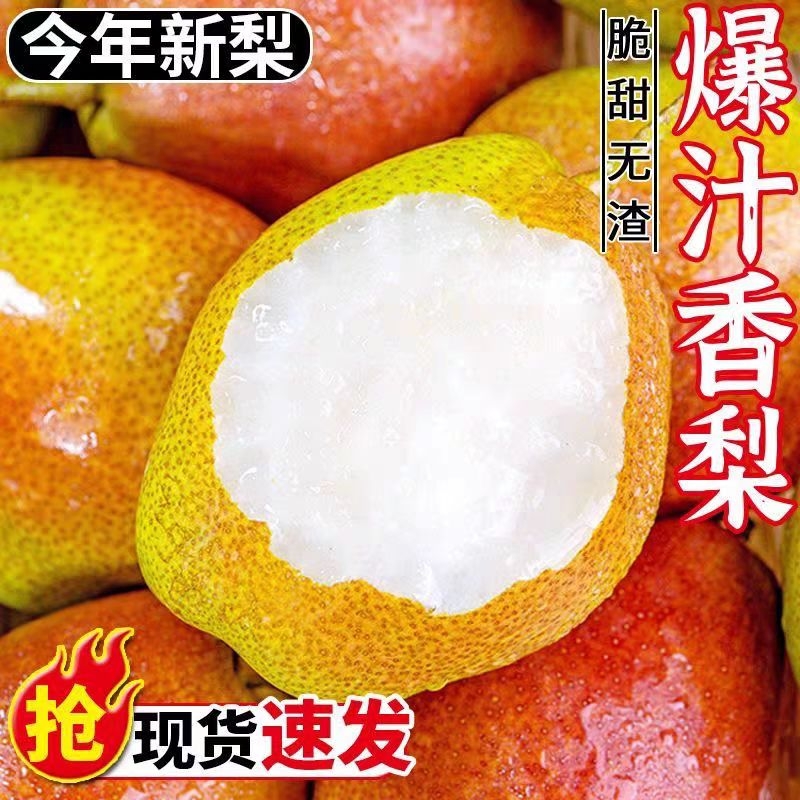 正宗红香酥梨头茬新果新鲜水果香梨子当季薄皮脆甜早酥梨非彩虹梨