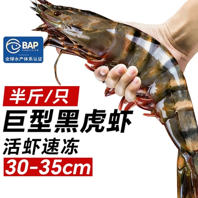 黑虎虾超大新鲜大虾鲜活速冻海鲜水产老虎虾特大基围虾竹斑九节虾