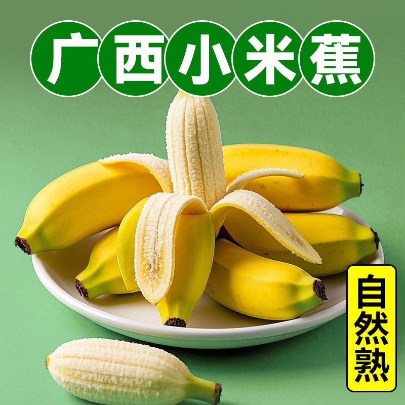正宗广西小米蕉香蕉9斤新鲜水果孕妇当季鲜苹果蕉自然熟粉蕉包邮