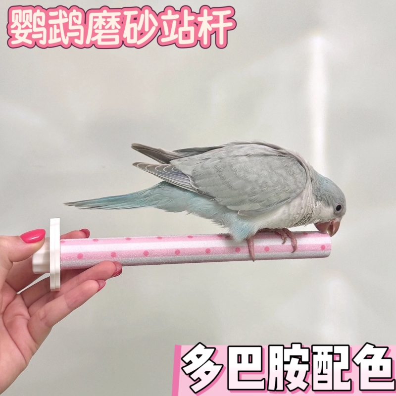 鹦鹉磨砂站杆小鸟磨嘴棒磨爪棒虎皮牡丹玄凤鸟笼配件玩具用品站棍