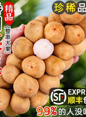 顺丰泰国进口新鲜龙宫果当季热带水果高端龙眼罕见椰色整箱包邮