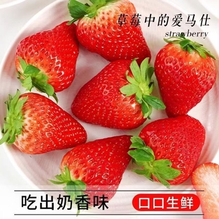 爆甜草莓安徽文集天仙醉草莓果园现摘草莓老人儿童孕妇新鲜水果