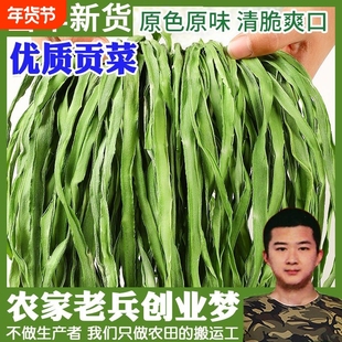 贡菜干干特级苔干新货新鲜脱水蔬菜食材火锅农家土产干干货各地