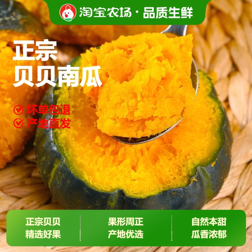 正宗贝贝南瓜板栗味幼儿辅食粉糯香甜贝贝营养新鲜早餐优选农场