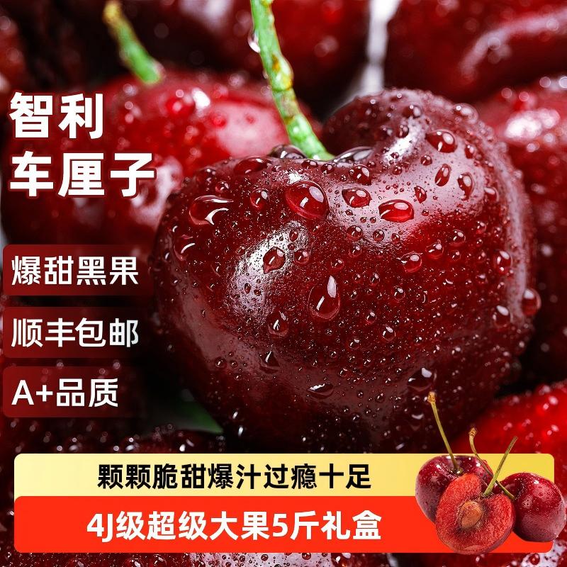 智利进口车厘子新鲜水果礼盒5应当季大樱桃345J整箱顺丰现货孕妇