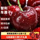 智利进口车厘子新鲜水果礼盒5应当季 大樱桃345J整箱顺丰现货孕妇