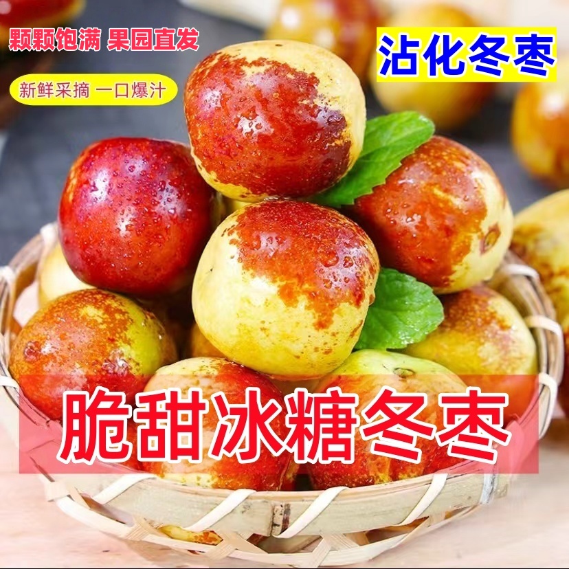 冬枣新鲜大果山东沾化应季整箱枣子青枣脆枣冰糖大枣5斤当季水果
