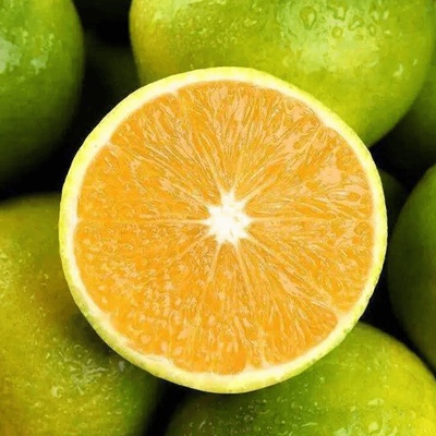 云南冰糖橙15-20°3斤