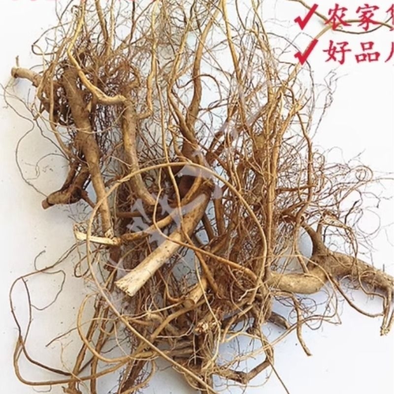 牛奶根正品福建特产客家野生竹叶小叶白花牛乳树根煲汤食材包邮