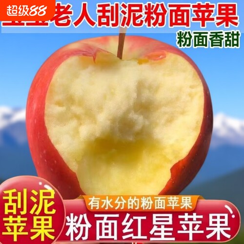 沙坡头红星红香蕉粉面沙甜苹果宝宝刮泥婴儿老人吃当季水果年货节