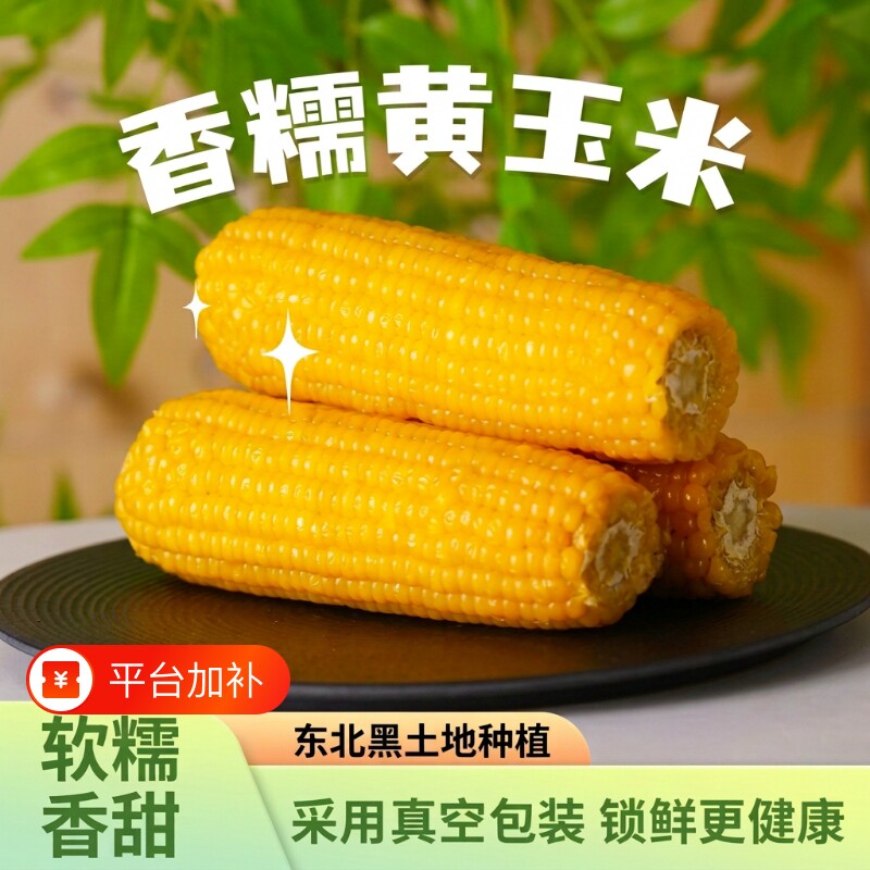 东北黄糯玉米棒当季新货鲜摘粗粮主食真空包装软糯轻食代餐黄苞米