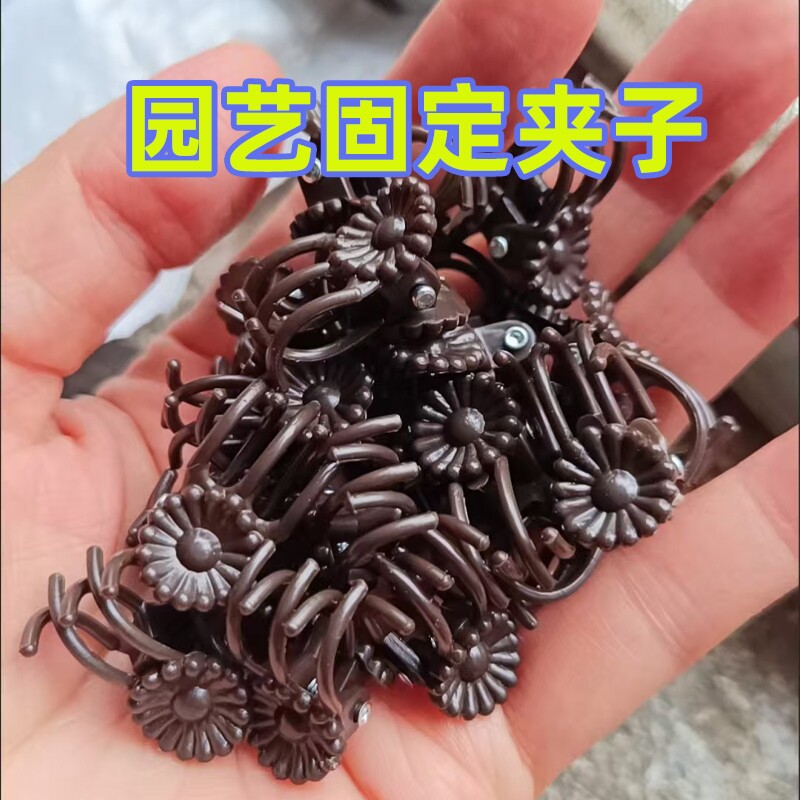 爬藤植物专用固定夹蝴蝶兰花夹子花卉夹造型支架夹藤蔓花园艺支撑