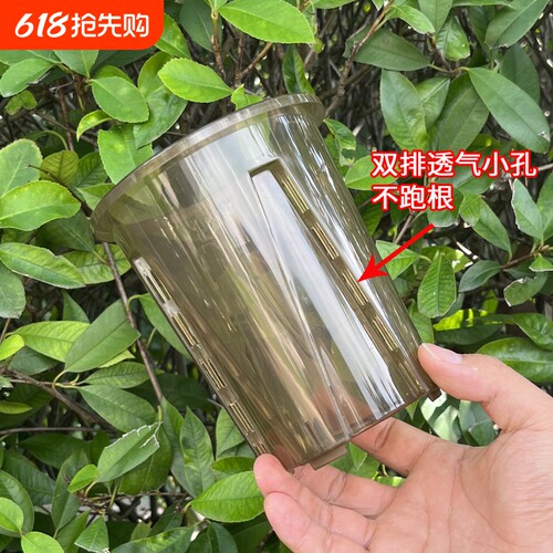 控根盆热绿植龟背竹兰花塑料花盆