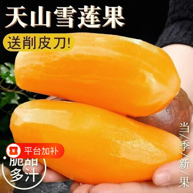 现挖云南雪莲果黄心雪连果新鲜水果应当季优质甘甜整箱批发包邮