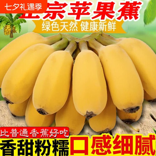 广西正宗苹果蕉5斤 banana新鲜香蕉粉蕉自然熟当季非小米芭蕉香焦