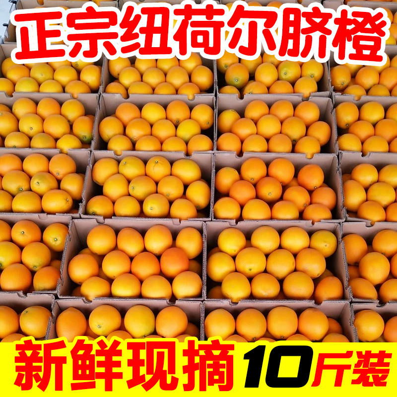 一级正宗湖南纽荷尔脐橙带箱10斤包邮当季新鲜水果橙子整箱手剥橙