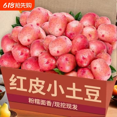 红皮黄心小土豆新鲜洋芋马铃薯现挖精品新鲜蔬菜批发5斤包邮9斤装