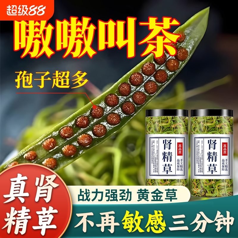 长白山黄金草正品官方旗舰店小叶肾精草产地嗷嗷叫东北化石草直发