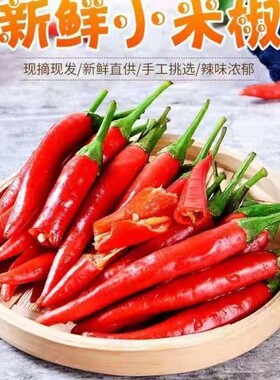 云南新鲜小米椒特辣鲜香当天现摘
