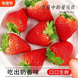 爆甜草莓安徽文集天仙醉草莓果园现摘草莓老人儿童孕妇新鲜水果