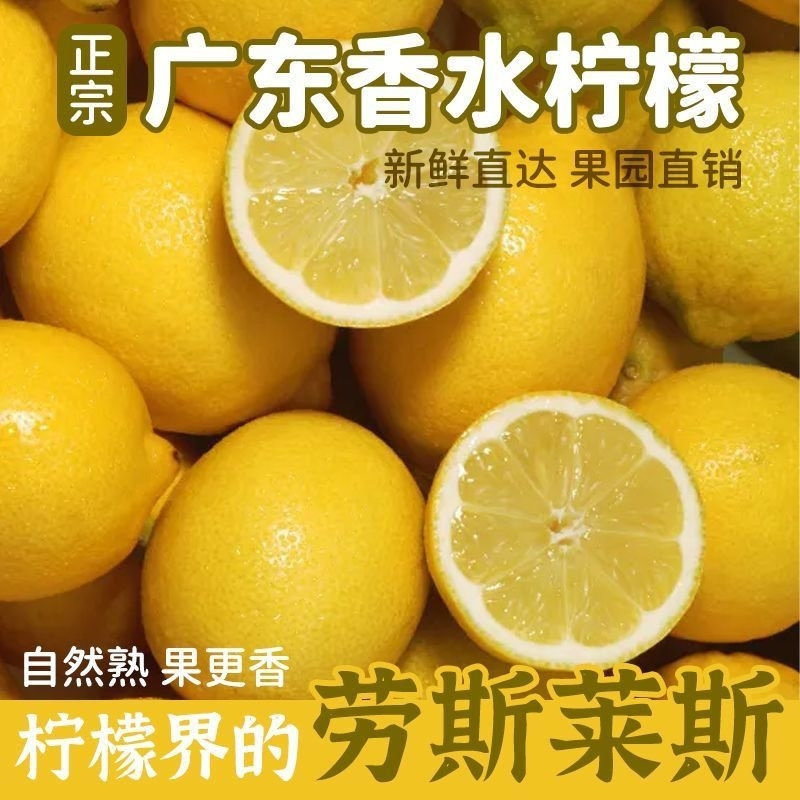 正宗广东香水黄柠檬当季新鲜水果泡饮精选薄皮柠檬非四川黄柠檬,水产肉类/新鲜蔬果/熟食,柠檬,淘宝优惠券,粉丝福利购,淘宝优惠卷