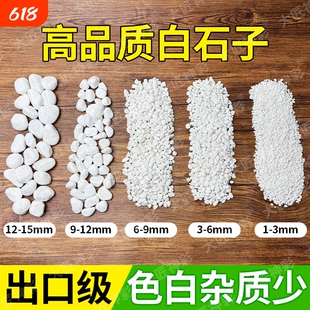小白石子铺面石白石头庭院造景原石鹅卵石雨花石盆栽鱼缸底砂多肉