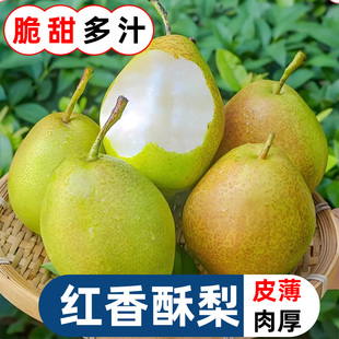 红香酥梨带箱2斤5斤清甜多汁肉厚核小