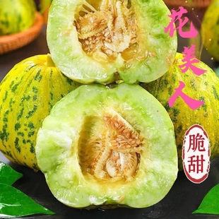 正宗头茬花美人山东甜瓜八里香脆甜多汁花蕾新鲜应季水果绿宝