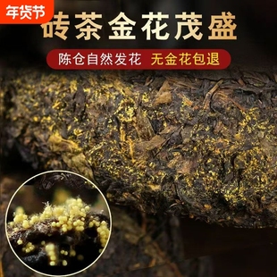 黑茶正宗湖南安化黑茶官方旗舰店正品安化黑茶金花茯砖茶陈年伏茶