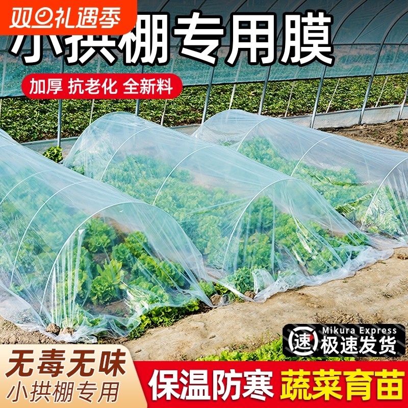 薄膜小拱棚膜大棚塑料膜蔬菜专用膜透明种菜保温防寒地膜防风种植