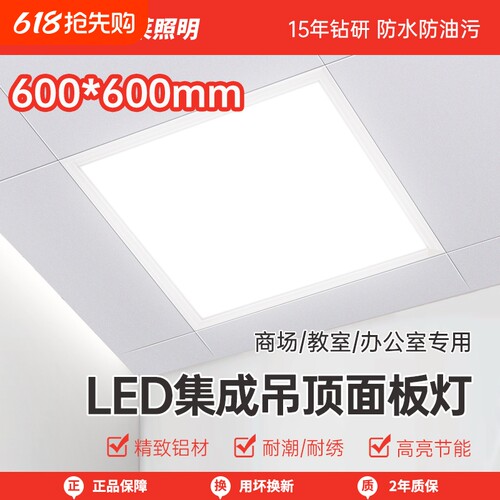 厨房卫生间30x60平板灯