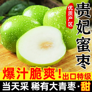 【头茬】福建贵妃枣牛奶大青枣新鲜水果包邮时令当季奶油脆枣冬枣