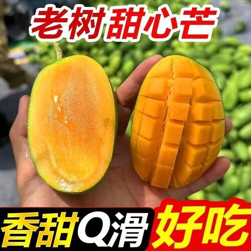 金煌芒应季当季新鲜热带水果孕妇可食果肉细腻香甜多汁青皮芒果