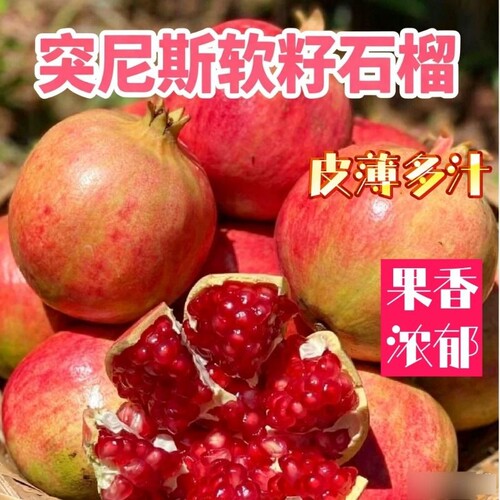 正宗四川会理突尼斯软籽石榴红宝石无籽新鲜水果中秋礼盒装