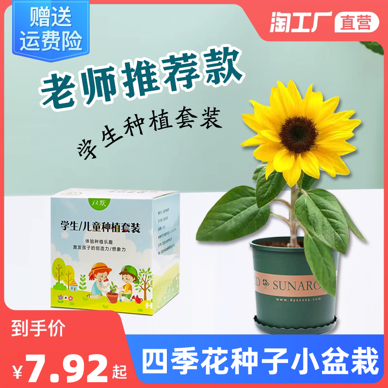 儿童种植小盆栽套装学生套餐植物向日葵种孑四季凤仙花种籽子室内高性价比高么？