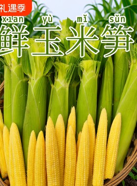 鲜嫩玉米笋盒装|超6000次加购