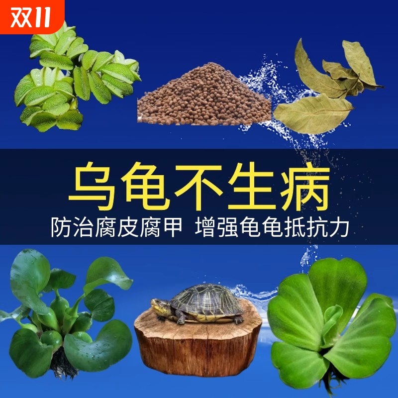 乌龟缸养龟专用龙眼木造景套餐浮萍水草乌龟晒台摆件晒背防腐皮甲