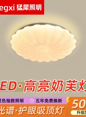 led吸顶灯圆形主卧室客厅灯走廊过道护眼照明灯具家用奶油风高亮