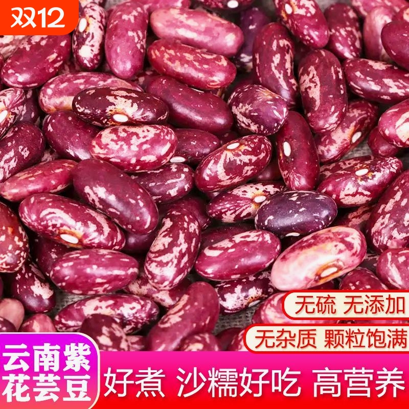 东北特产花芸豆大粒农家饭豆大碴粥用五谷杂粮紫花红芸豆腰豆