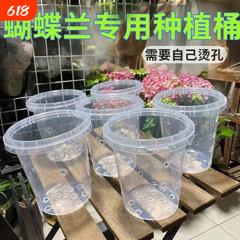 网红蝴蝶兰种植桶绿植盆栽家用透明花盆塑料桶有孔无孔专用花盆