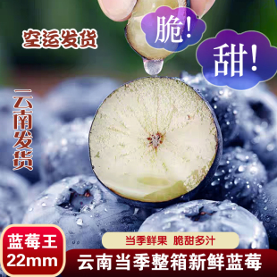 高山花香蓝莓果径20mm超大果多规格盒装 云南当季 高端 空运发货