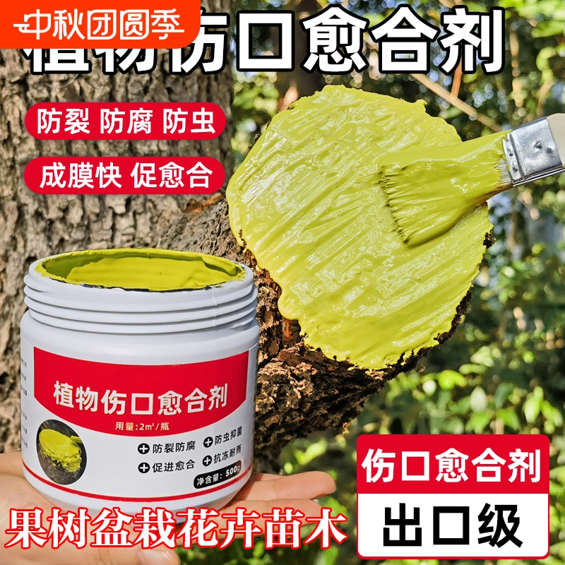 植物伤口愈合树木盆景果树嫁接