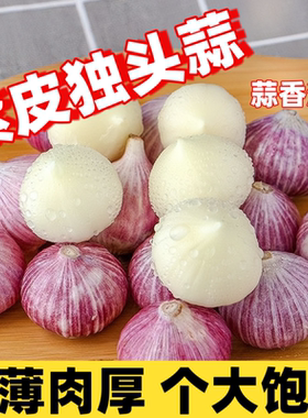 云南紫皮独头蒜干制 圆头蒜辛辣鲜香 当季蔬菜直供 耐储好用