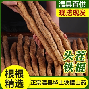 垆土铁棍山药河南焦作温县原产直发新鲜采挖正宗怀淮山药礼盒铁杆