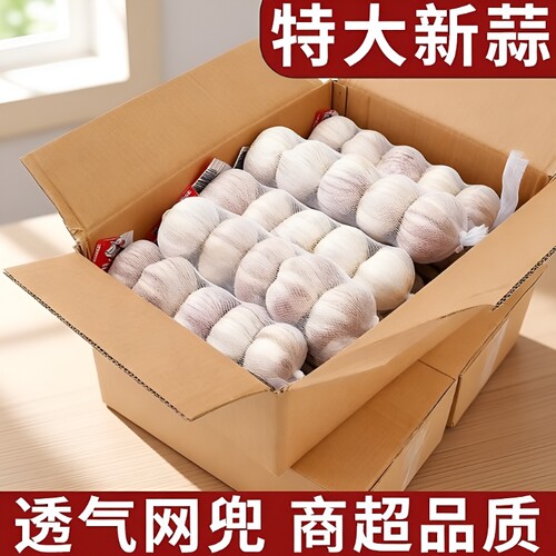 【商超品质】条蒜新干蒜净蒜金乡大蒜头正宗紫白皮大蒜头批发包邮