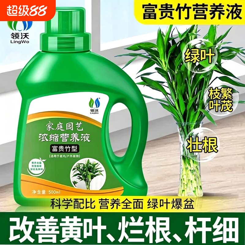 富贵竹营养液专用肥治黄叶促生根转运竹观音竹水培植物通用液体肥